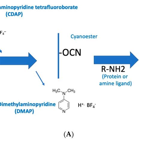 acyop cdap|CDAP .